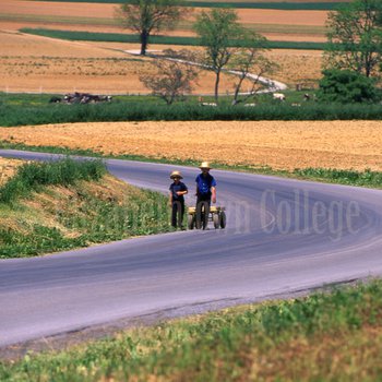 Two Amish boys walk with wagon