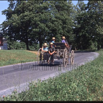 Four Amish boys in open buggy