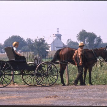 Two Amish boys with open buggy