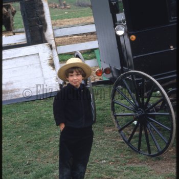 Amish boy next to buggy