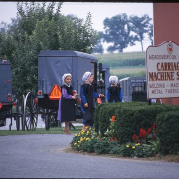 Amish girls walking near buggies
