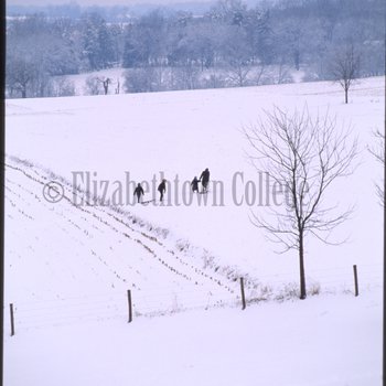Amish group walking through snow