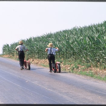 Amish boys with scooters