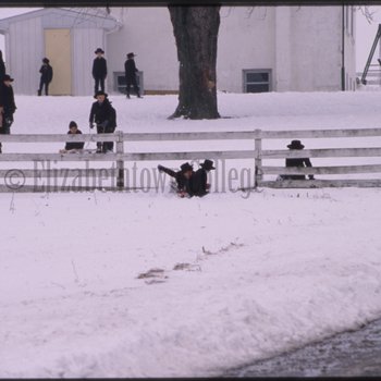 Children sled under fence
