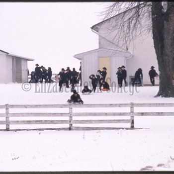 Amish children play in snow