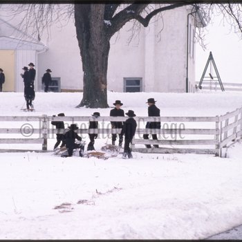 Group of children sled under fence