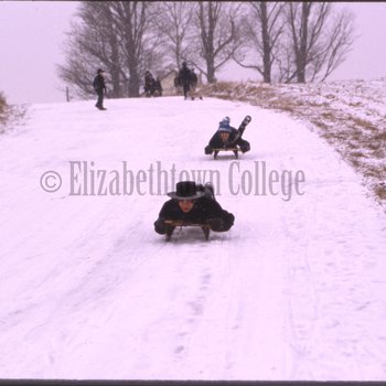 Boys sled down road