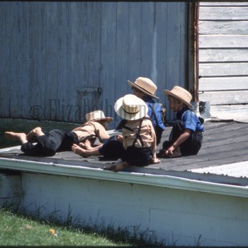 Boys sit on roof