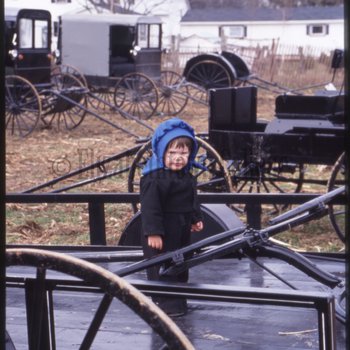 Amish child stands on trailer