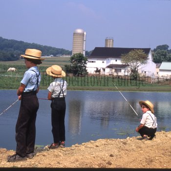 Three boys fishing in pond