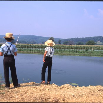 Three boys cast fishing rods