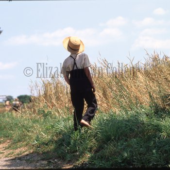 Boy in front of wheat field