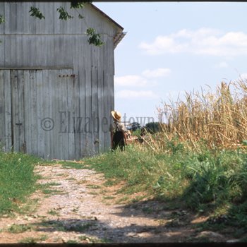 Boy stands in front of barn