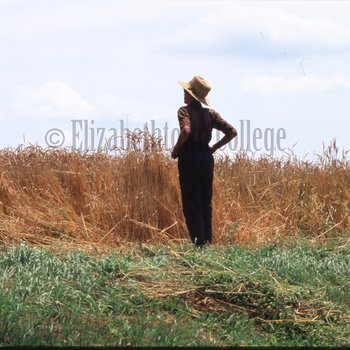 Boy standing in front of wheat field