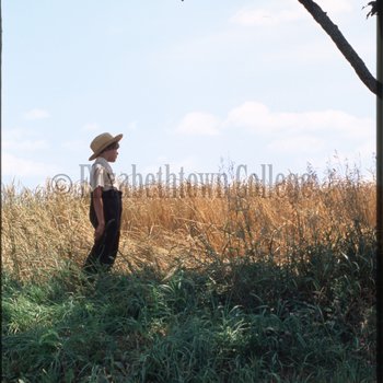 Amish boy in field