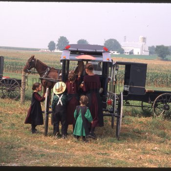 Children looking in buggy