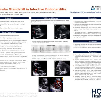 Ventricular Standstill in Infective Endocarditis