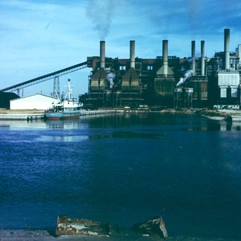 Tampa Electric Company, Gannon Plant