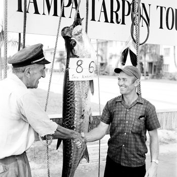 Tampa Tarpon Tournament winner