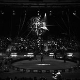 Circus act - aerial acrobat