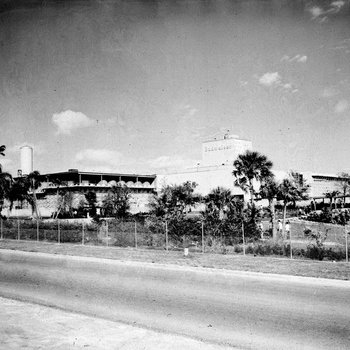 Budweiser Busch Gardens, Tampa, B