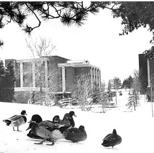 Stadler Hall - Snow - Ducks 40
