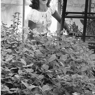 Greenhouse - Students C. Late 1970s 2