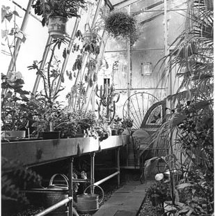 Greenhouse, C. Late 1970s 115