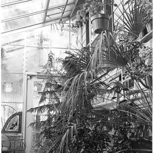 Greenhouse, C. Late 1970s 116