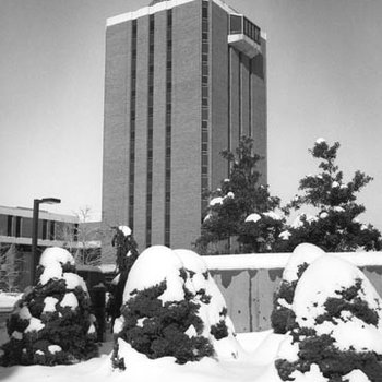 Tower - Social Sciences and Business Building - Snow, C. 1980s 484
