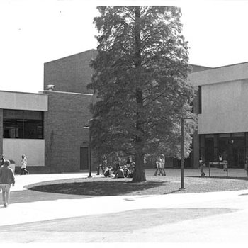 University Center - J.C. Penney, C. 1970s 494
