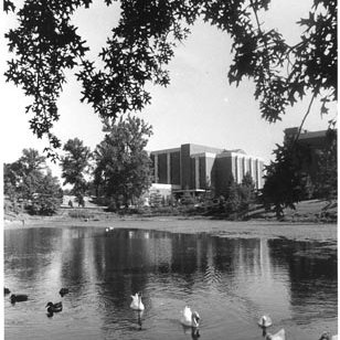 Bugg Lake - Stadler Hall - Ducks, C. 1970s 541