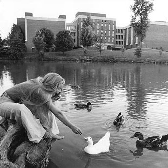Bugg Lake - Benton Hall - Students - Ducks, C. 1970s 548