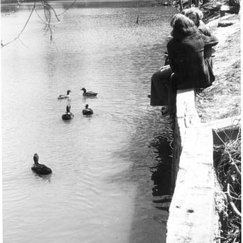 Bugg Lake - Ducks - Students, C. 1970s 553