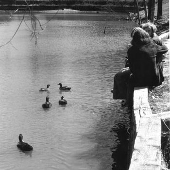 Bugg Lake - Ducks - Students, C. 1970s 571
