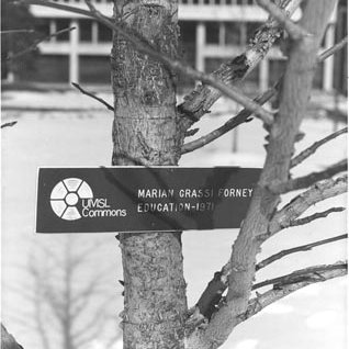 Commons Area - Thomas Jefferson Library - Tree Dedication , C. Late 1970s 606