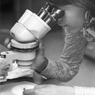 Biology Lab, C. Mid 1970s 2651