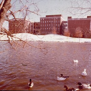 Bugg Lake, Snow, Benton Hall, Stadler Hall, C. 1970s 3578