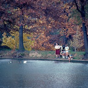Bugg Lake, Ducks, C. 1970s 3579