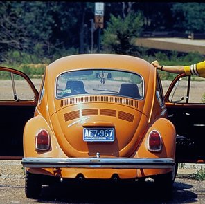 Volkswagen Beetle On Campus 3939