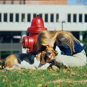 Girl and Dog, Near Thomas Jefferson Library, C. 1970s 3946