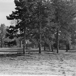 Site of Old Administration Building; Bellerive Country Club, C. 1970s 4086