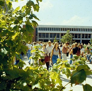 Students In the Quad, TJ Library, C. Late 1970s-Early 1980s (Original Slide in MU Archives) 5017