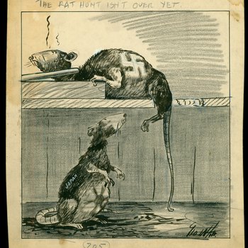 The Rat Hunt Isn't Over Yet, May 5, 1945