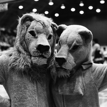 Lucky and Lucy the Lion