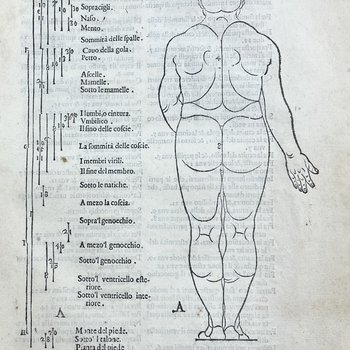 Four Books on Human Proportions. Image 4.