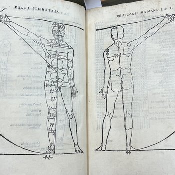 Four Books on Human Proportions. Image 5.