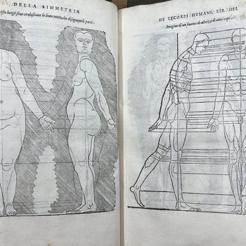 Four Books on Human Proportions. Image 6.