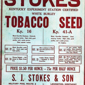 Stokes' Tobacco Seed
