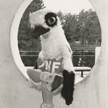 UNF Mascots through the Years